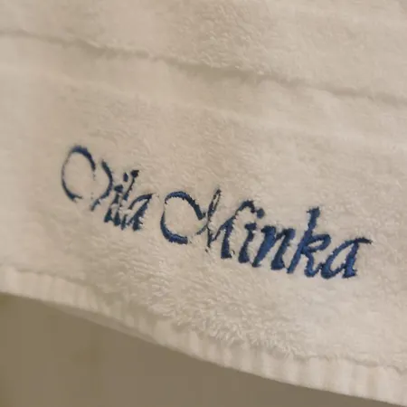 Minka 3*