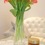 مينكا الفندقية 4*